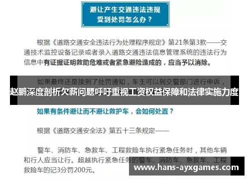 赵鹏深度剖析欠薪问题呼吁重视工资权益保障和法律实施力度