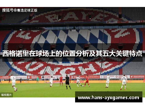 西格诺里在球场上的位置分析及其五大关键特点