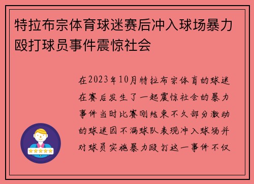 特拉布宗体育球迷赛后冲入球场暴力殴打球员事件震惊社会