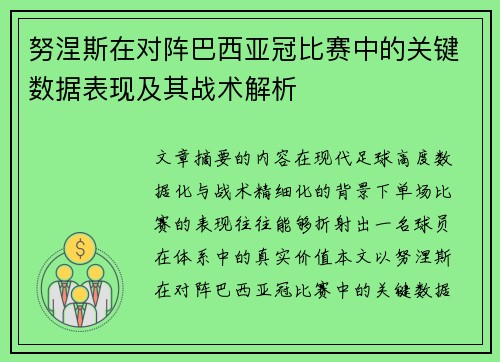 努涅斯在对阵巴西亚冠比赛中的关键数据表现及其战术解析